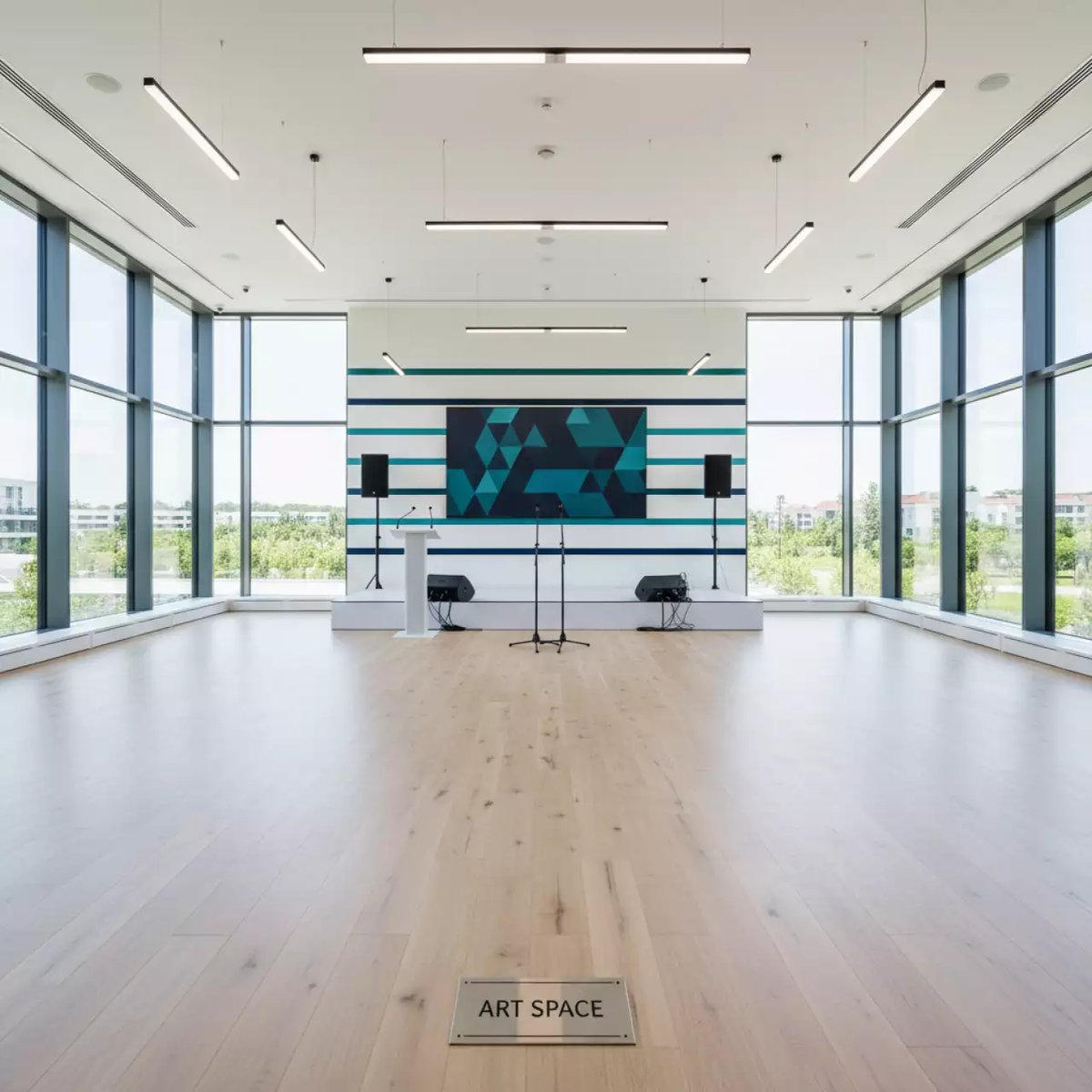 Аренда Лети и пой в Сочи Парк Отеле — ART SPACE