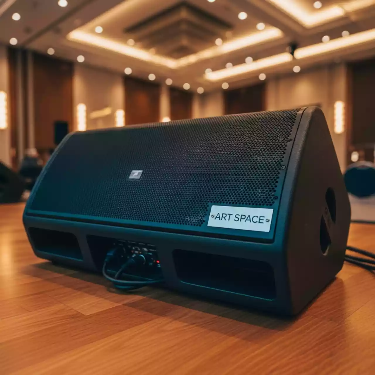 Аренда Мониторы сценические D.A.S. Audio Compact 015 в отеле Hyatt Regency Sochi — ART SPACE