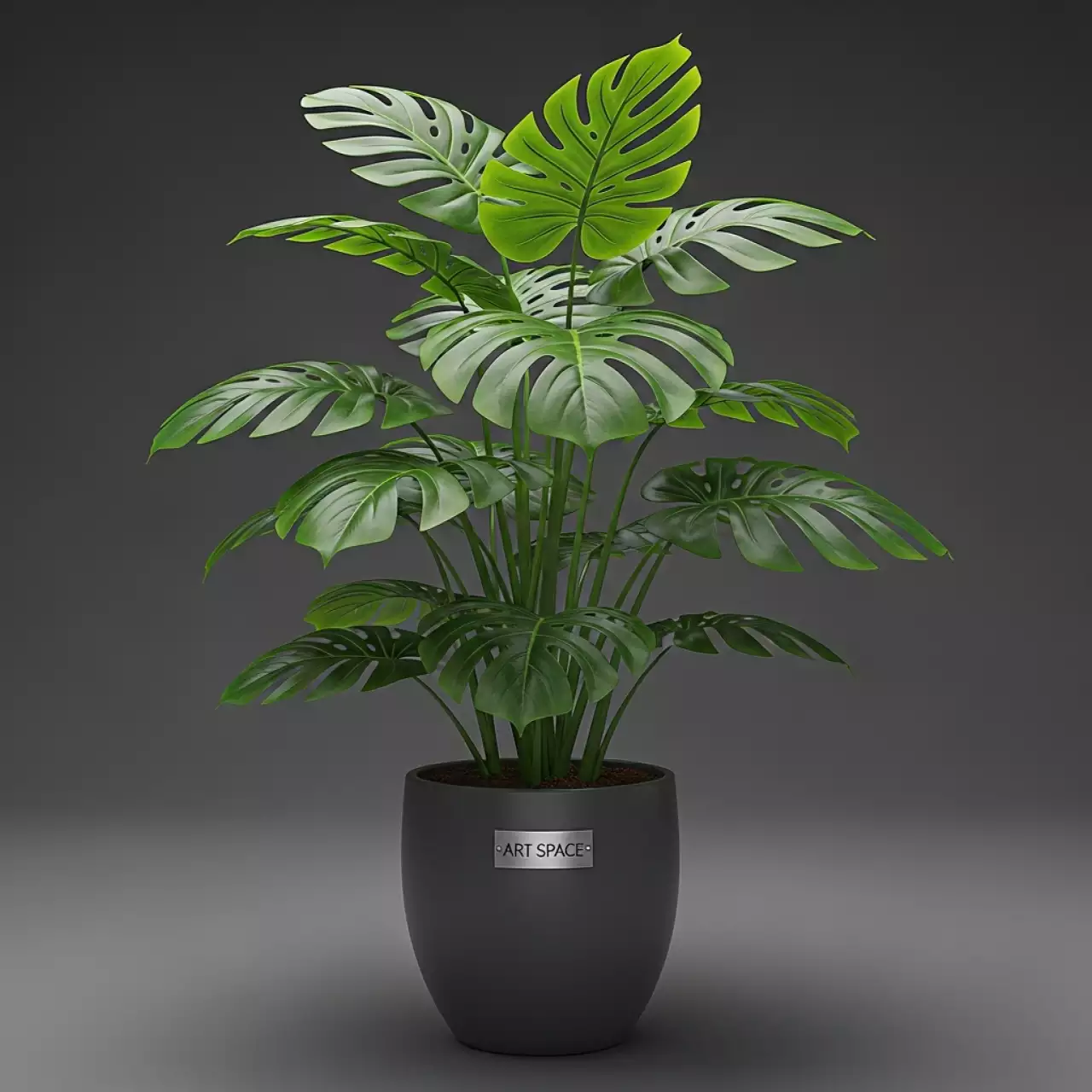 Аренда Монстера искусственная в Stella di Mosca — ART SPACE