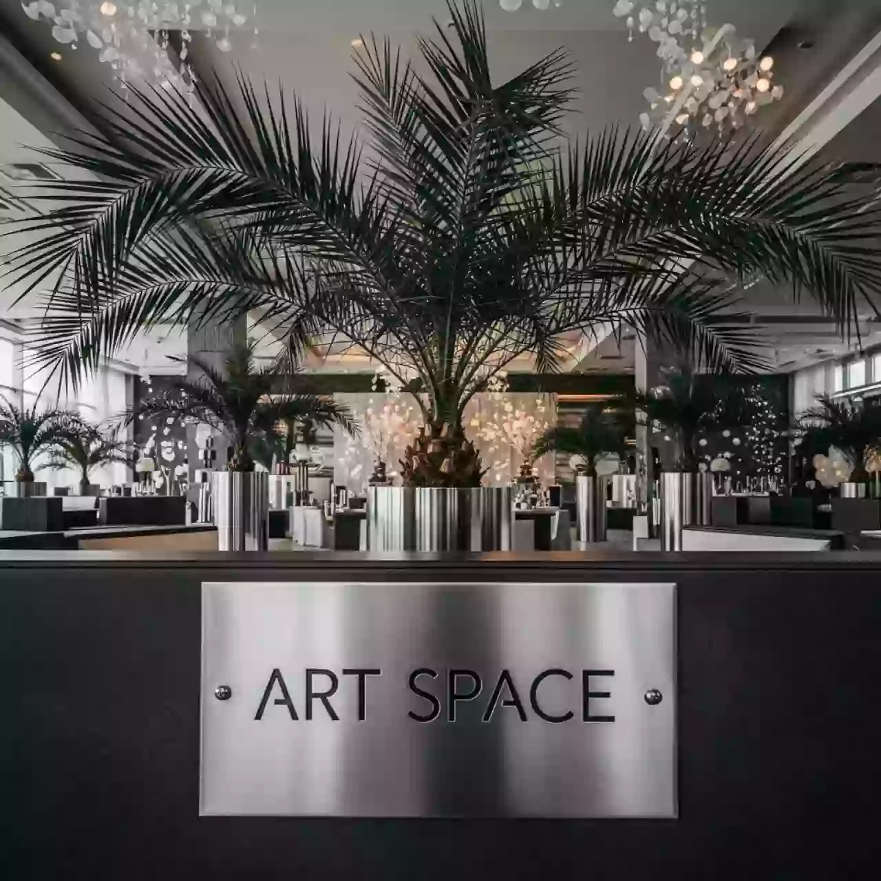 Аренда Пальмы кентия ховея на курорте «Газпром» (Альпика) — ART SPACE