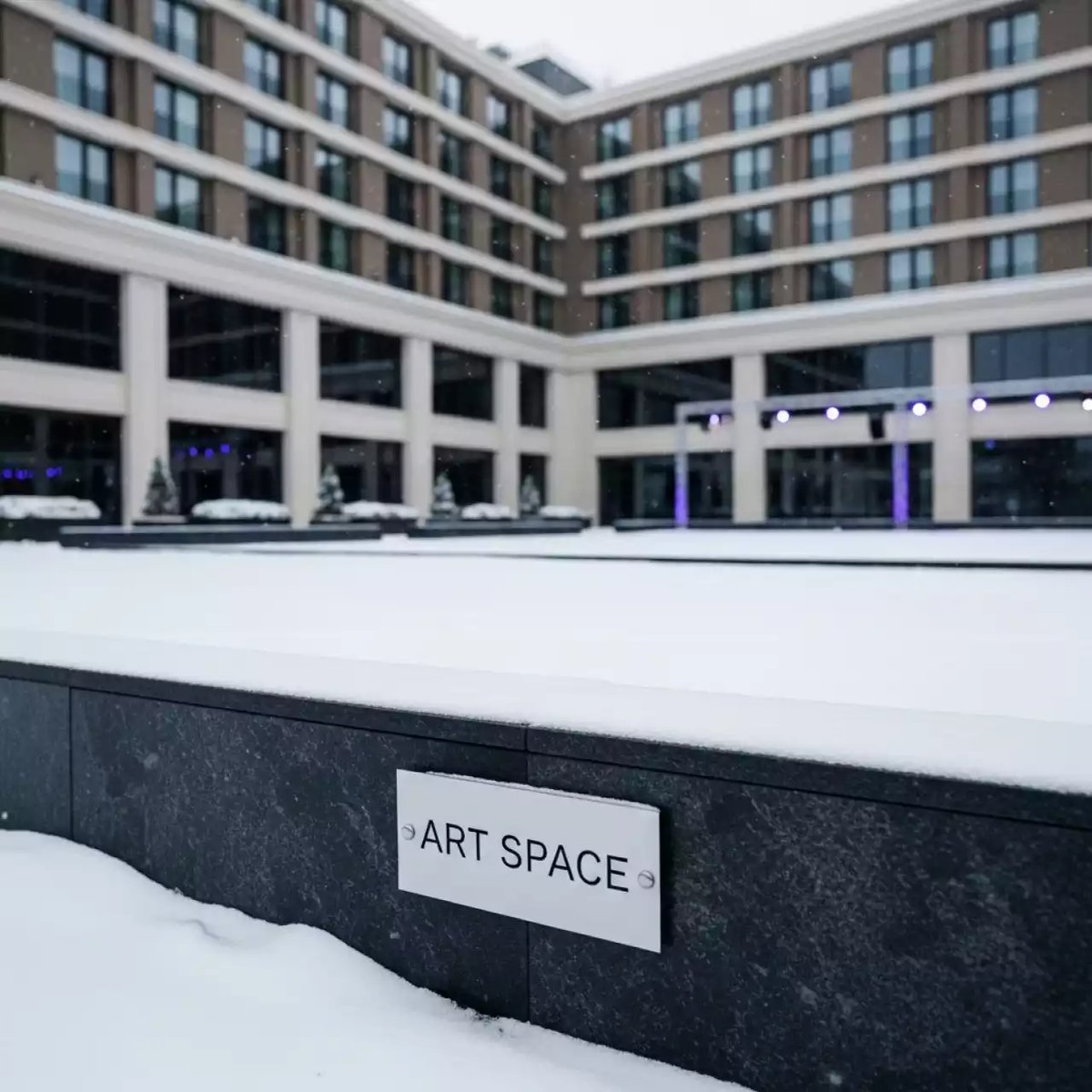 Аренда Пикник Петровича в Маринс Парк Отеле — ART SPACE