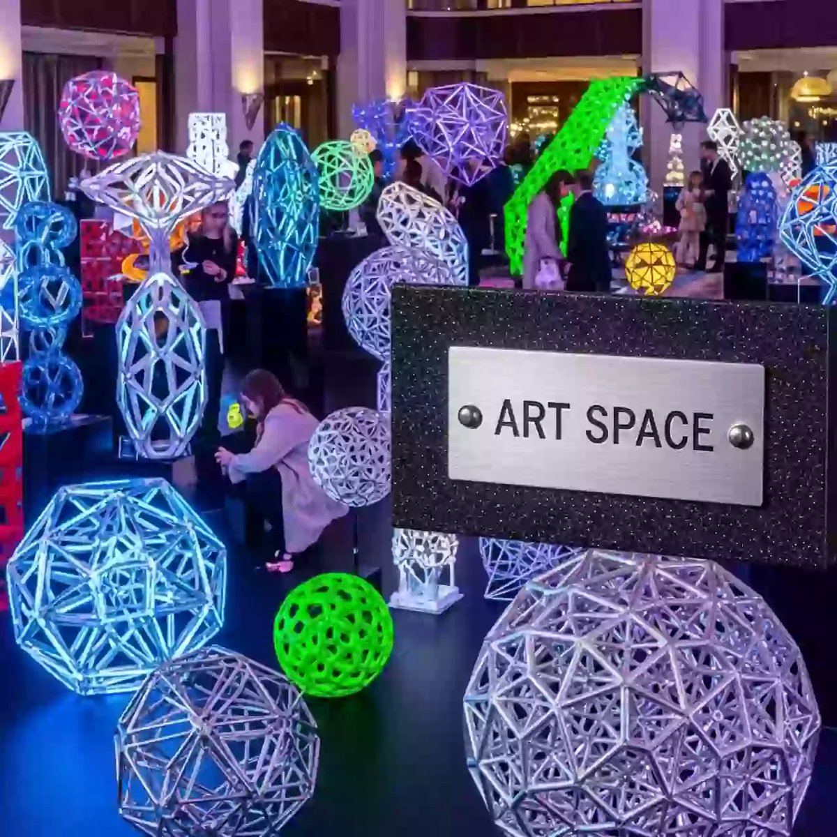 Аренда Принтер 3D Raise DF2 в отеле Radisson Lazurnaya — ART SPACE