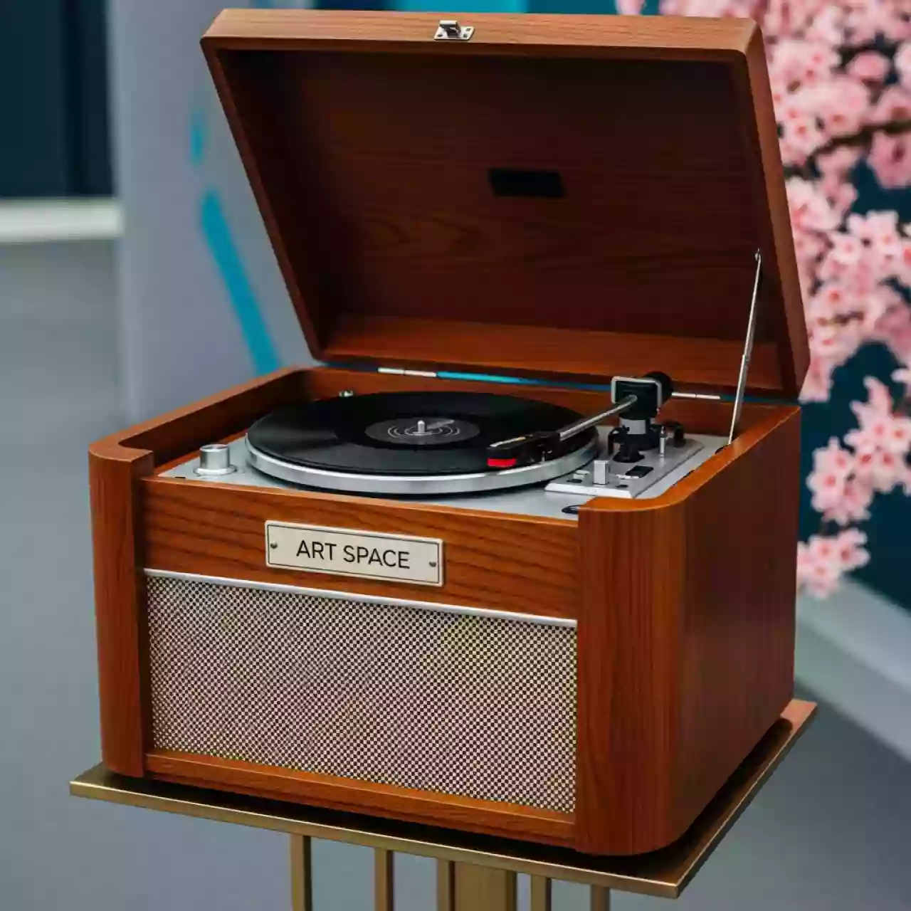 Аренда Проигрыватель винила СССР в Radisson Blu Resort & Congress Centre — ART SPACE