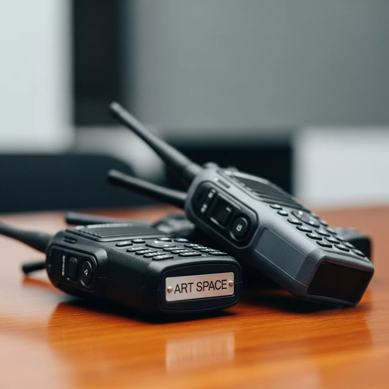 Аренда Радиостанции в Сочи Парк Отеле — ART SPACE