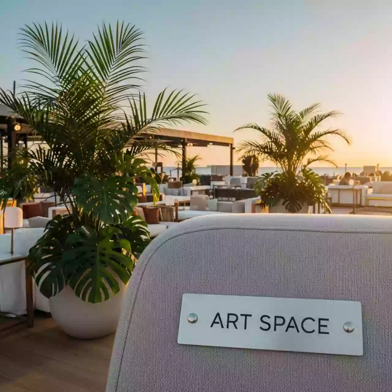 Аренда Растения декоративные на пляже «Мандарин» — ART SPACE