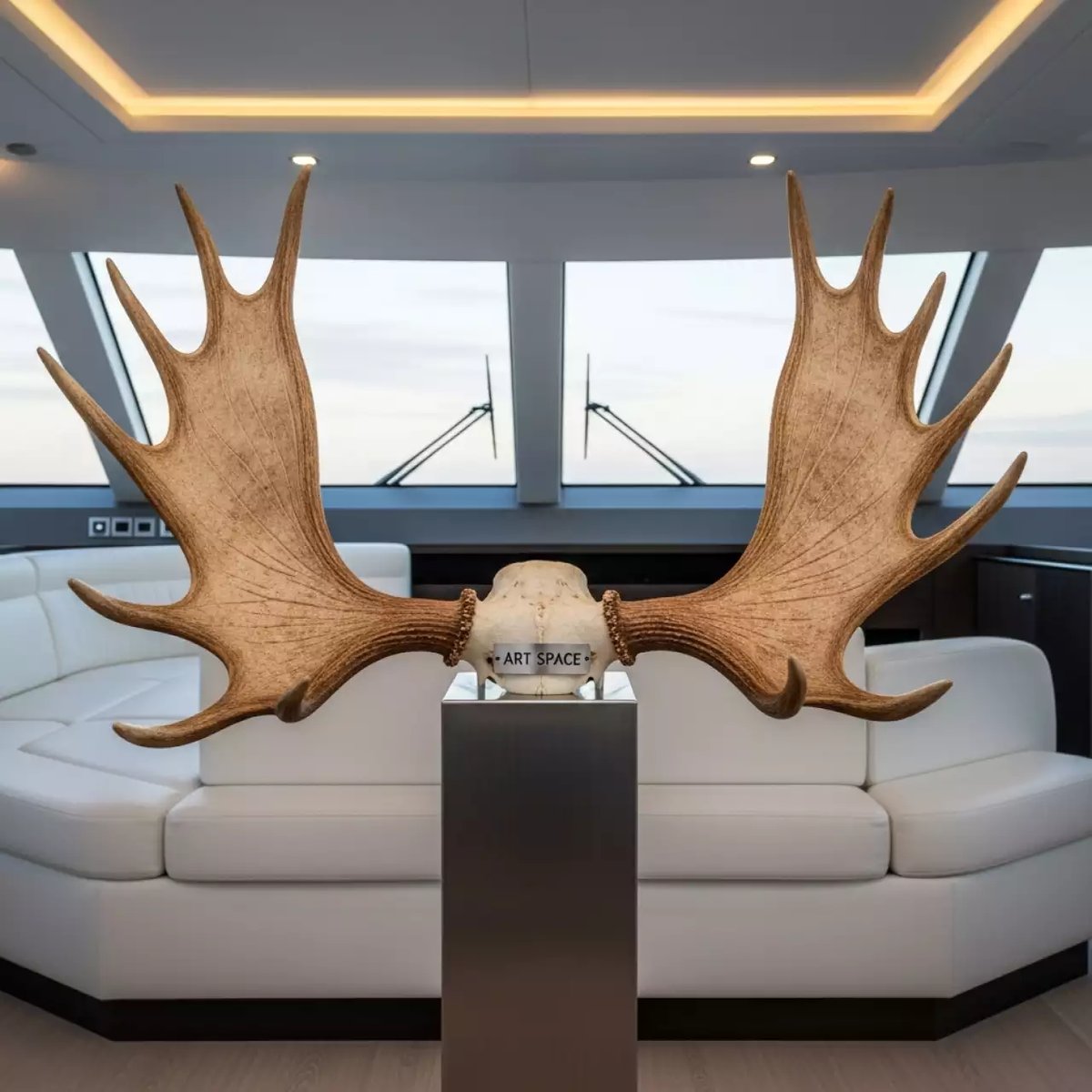 Аренда Рог лося на VIP-яхте (Имеретинский порт) — ART SPACE