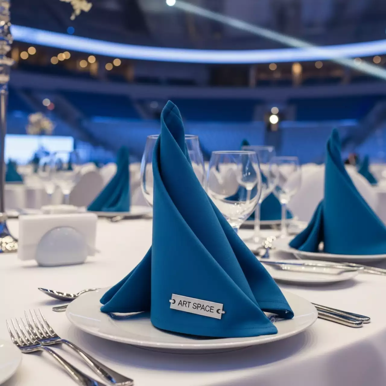 Аренда Салфетка профессиональная голубая в Ледовом дворце «Айсберг» — ART SPACE