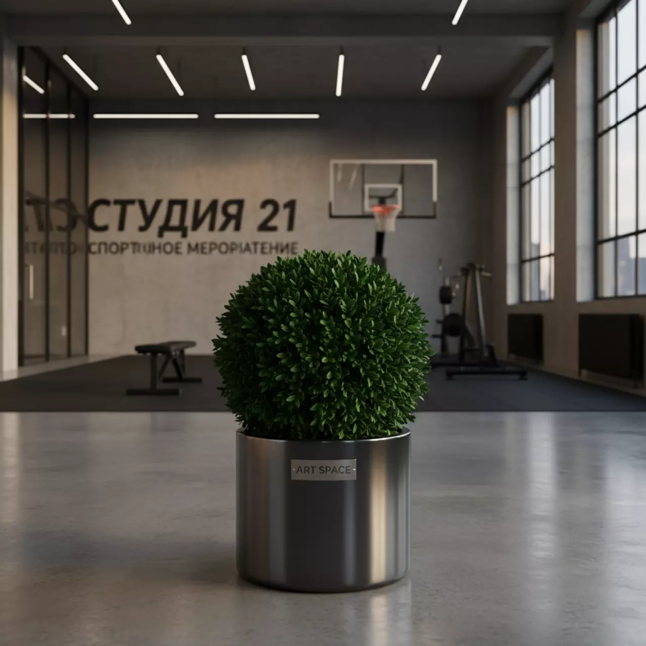 Аренда Самшит 40 см в лофте «Студия 21» — ART SPACE