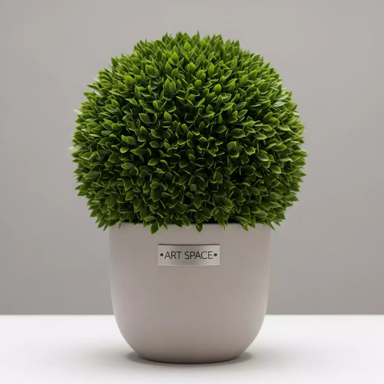 Аренда Самшит 45 см в ресторане «Sanremo» — ART SPACE