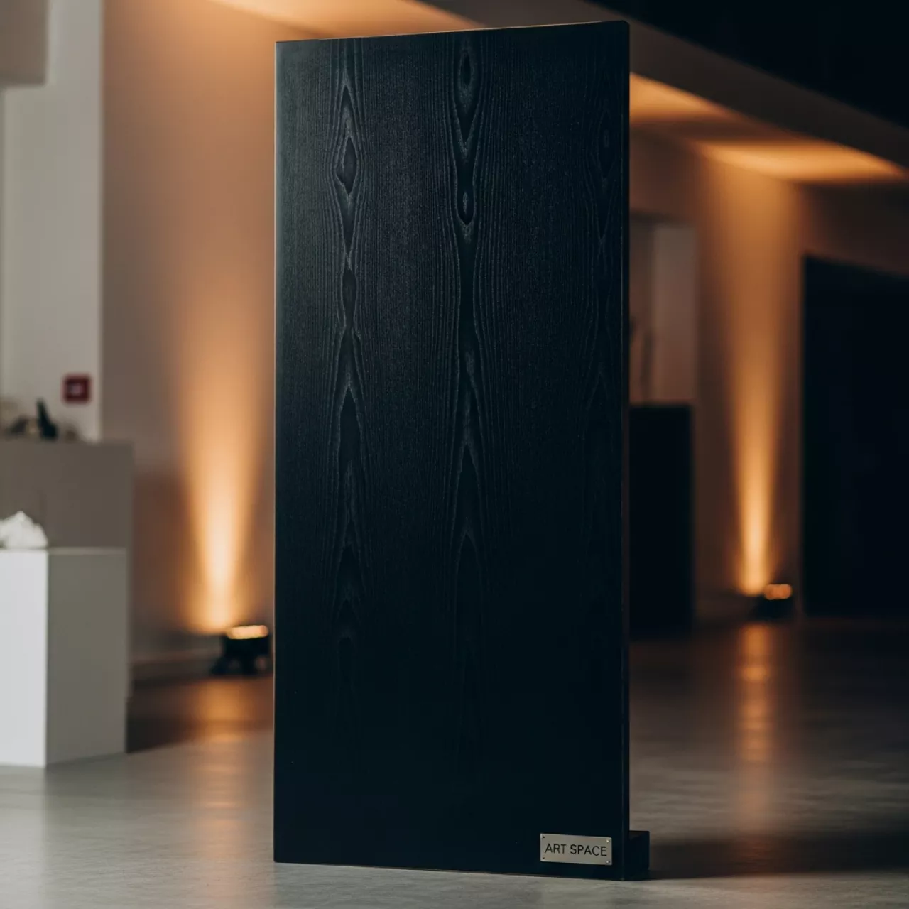 Аренда Ширма черное дерево в Skypark Sochi — ART SPACE