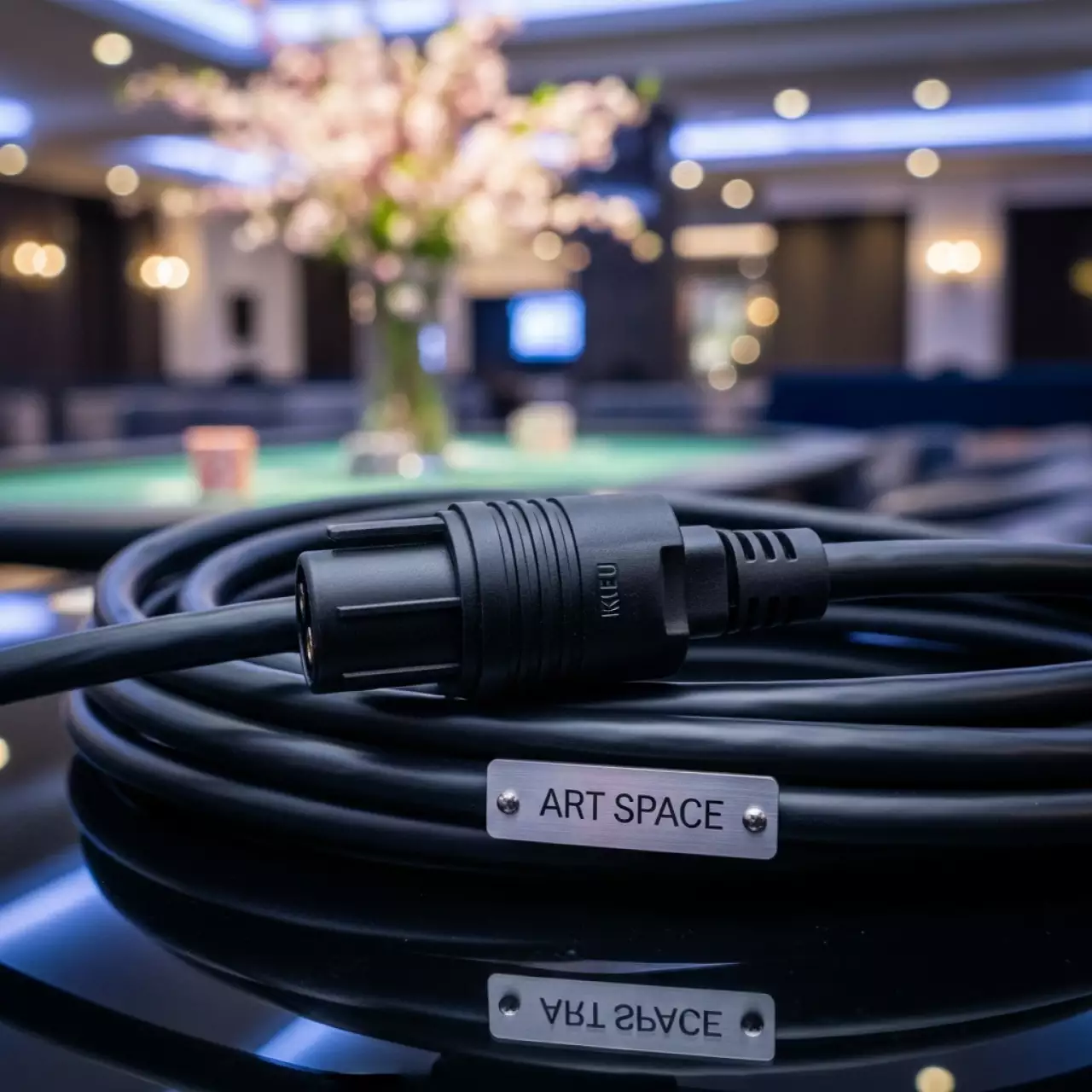 Аренда Шнур питания Phaser KEU A в ресторане «Баран-Рапан» — ART SPACE