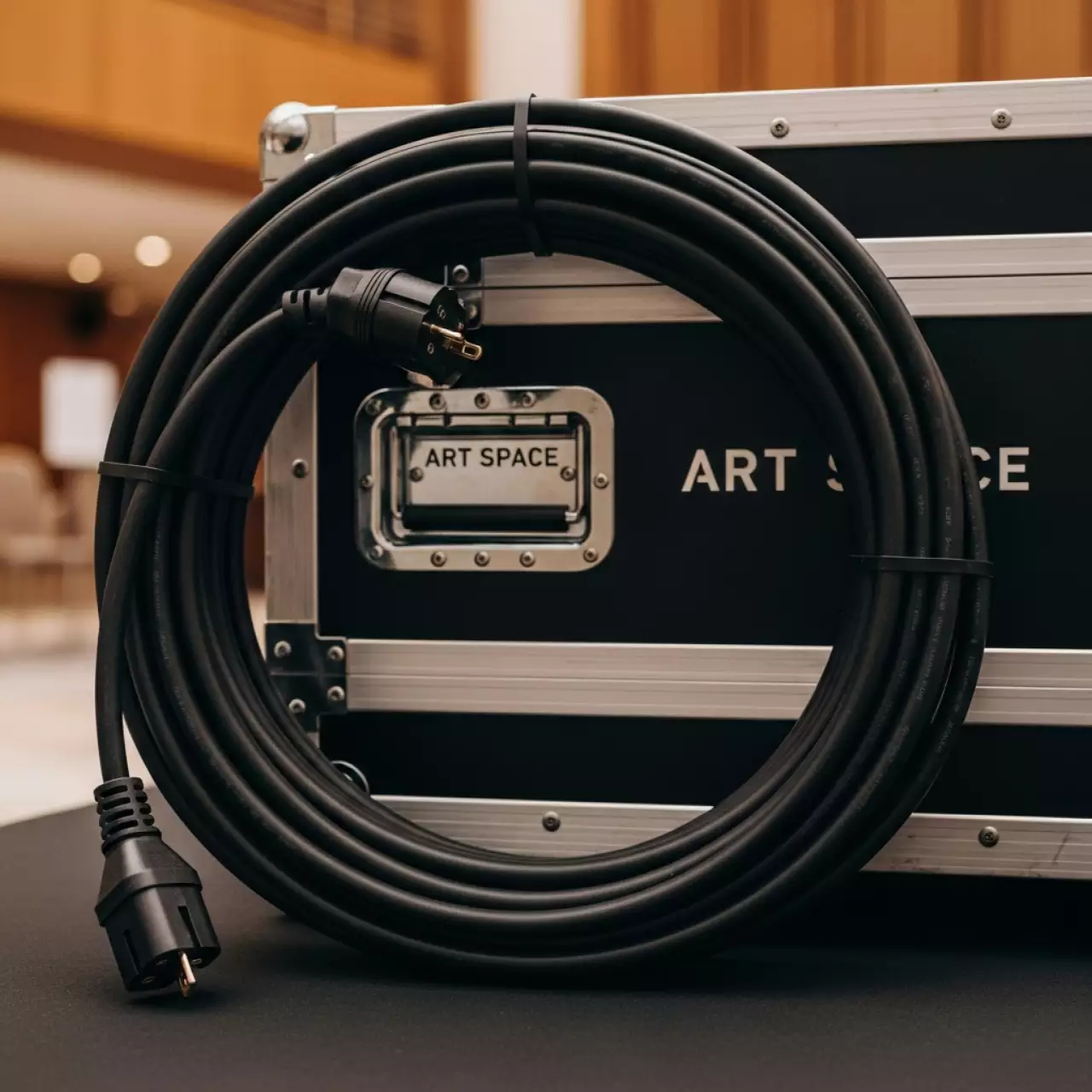 Аренда Силовой кабель 220 В 16 А 20 м в конгресс-холле отеля Жемчужина — ART SPACE