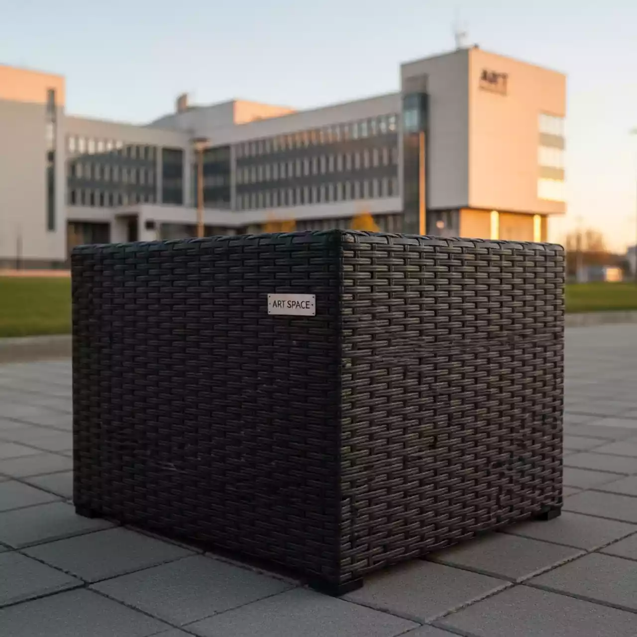 Аренда Стол пуф ROTANG LUX MALAGA в Университете «Сириус» — ART SPACE