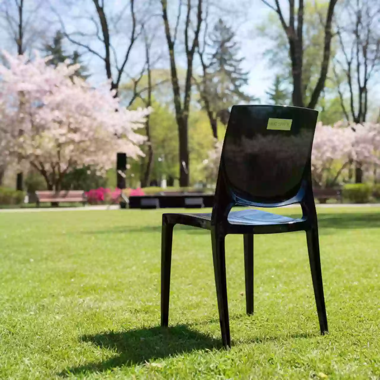 Аренда Стул прозрачный черный Tobias в парке «Ривьера» — ART SPACE