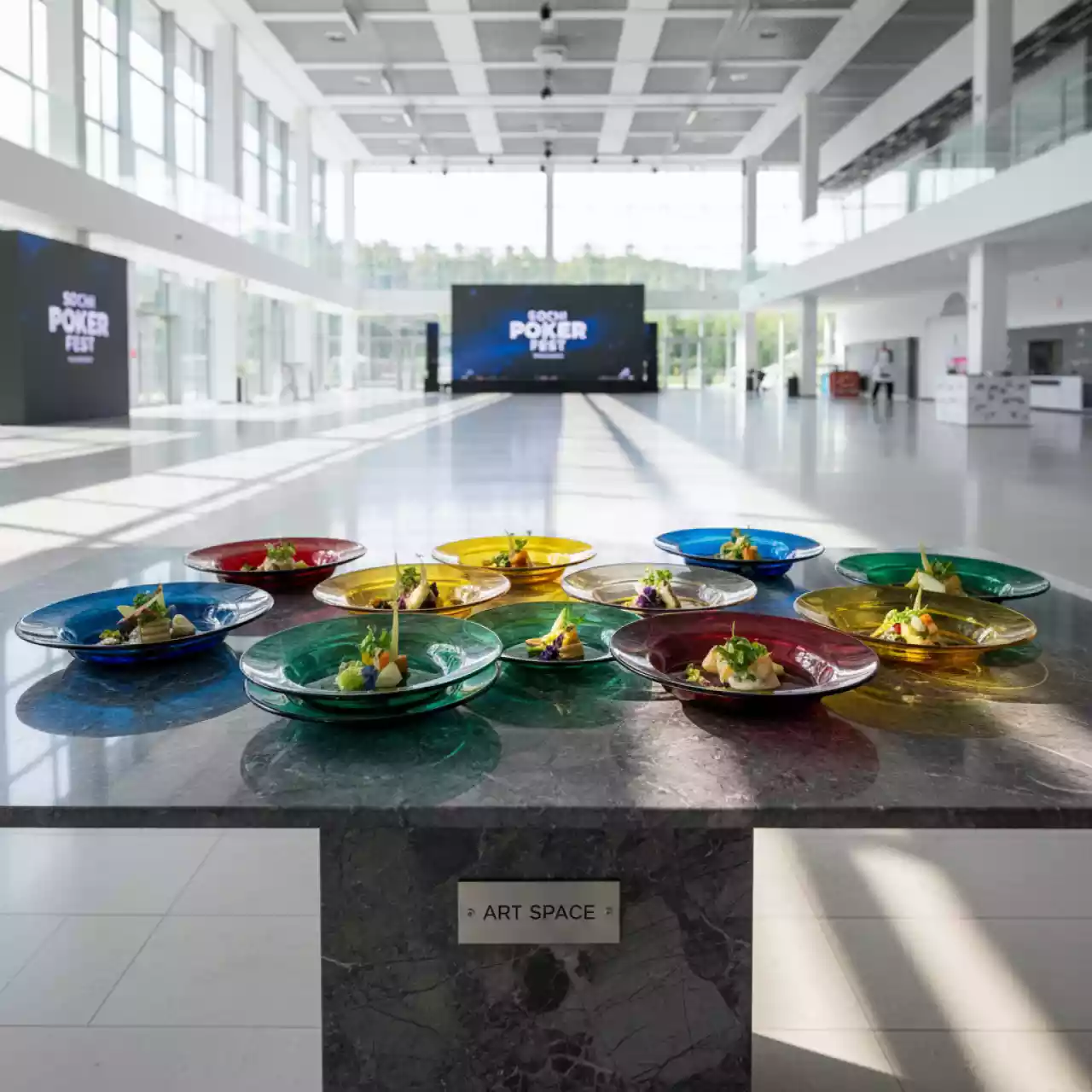 Аренда Тарелки Poland цветные в ледовом дворце «Роза Хутор» — ART SPACE