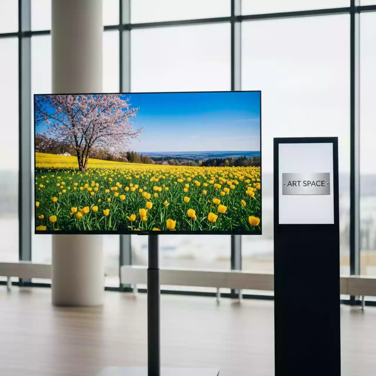 Аренда Телевизор коммерческий Samsung BE43R B в Сочи Парк Отеле — ART SPACE