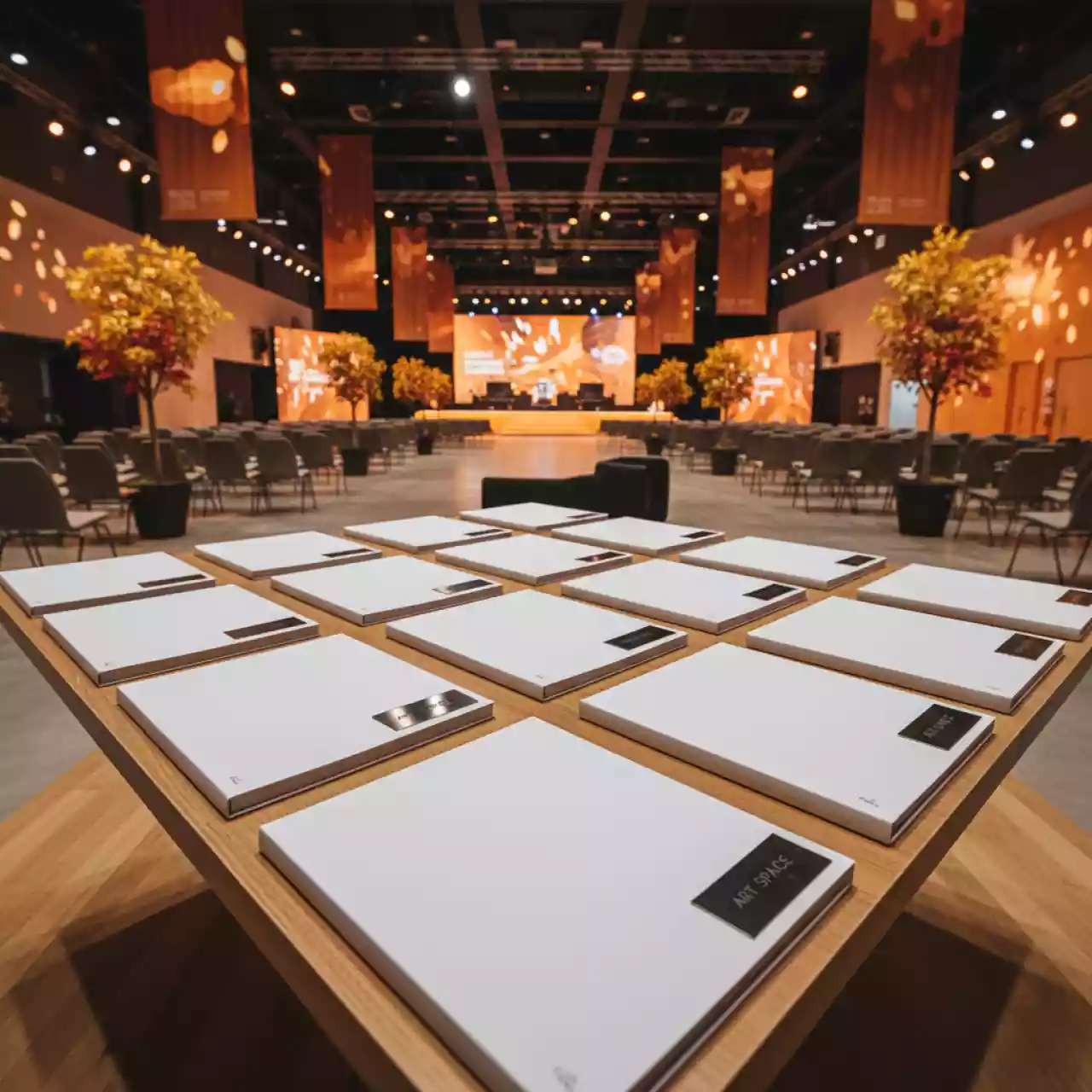 Аренда Термообложки картонные под кожу Ibico А4 8 мм белые в Сириус Арене — ART SPACE