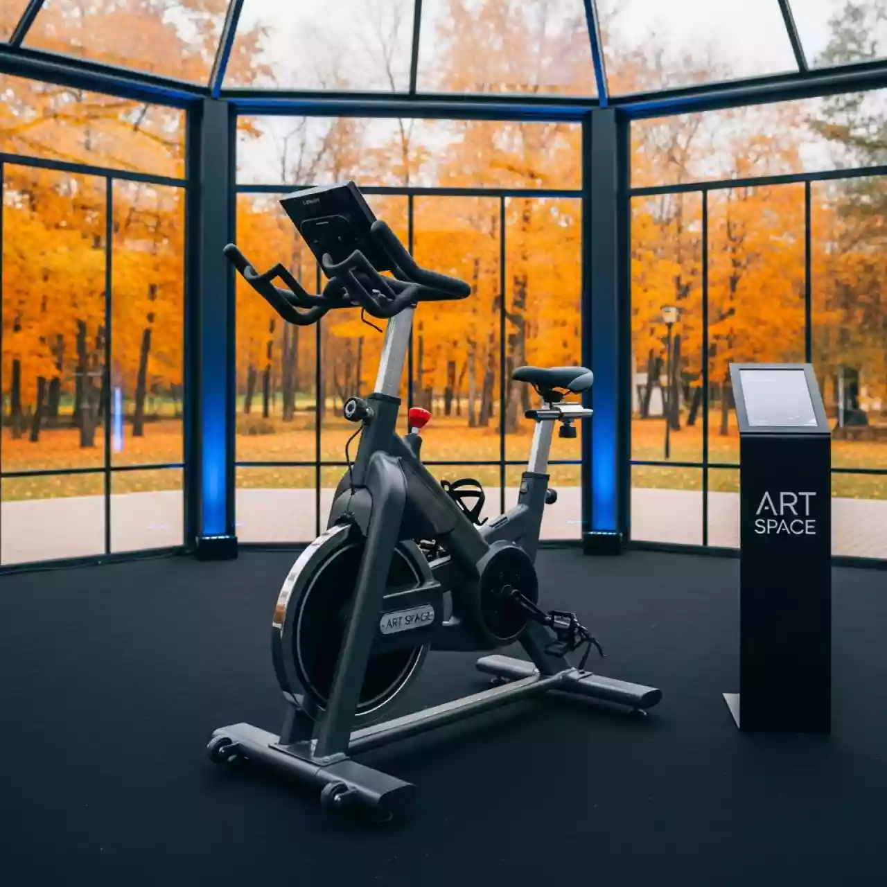 Аренда Велотренажер Svensson Body Labs BCM в этно-парке «Моя Россия» — ART SPACE