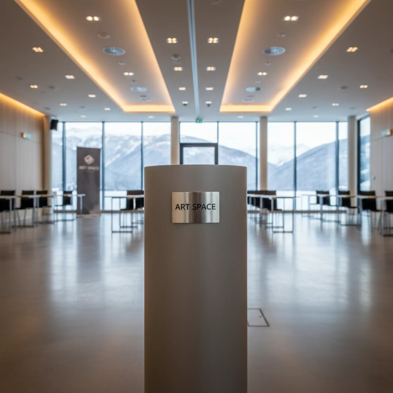 Аренда Винил рулонный самоклеящийся для печати Epson Production SA Vinyl Matte 260 мкм 1,118х20 м 50,8 мм в Novotel Resort — ART SPACE