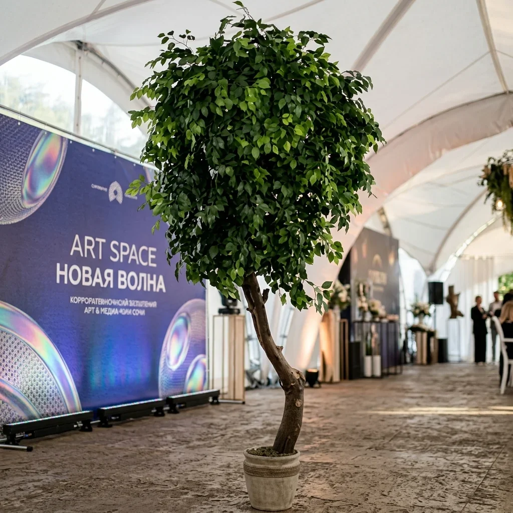 Аренда искусственного фикуса в Сочи от ART SPACE